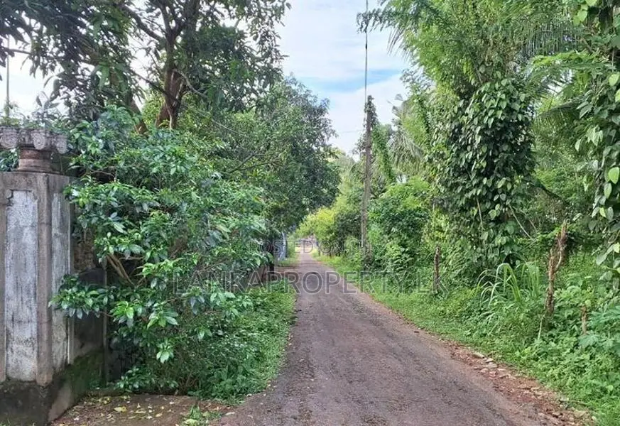 164 Perches of Valuable Land for Sale in Pannala