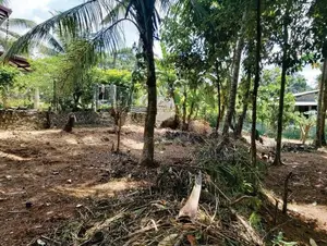 Land For Sale Dompe