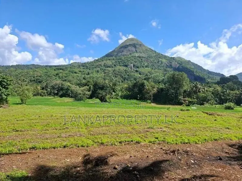 Valuable 3.75 Acres Agriculture Land for Sale in Matale.