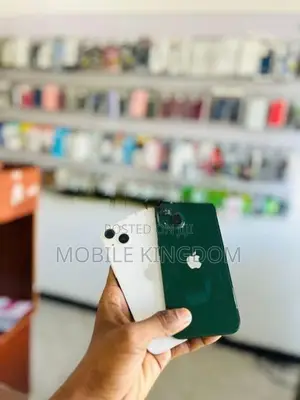 Apple iPhone 13 128GB (Used)