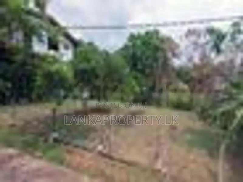 Prime Residential Land for Sale in Ramanayake Mawatha, Hokandara.
