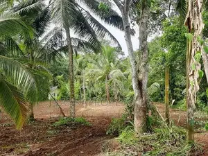 78 Perches of Valuable Land for Sale in Halpe, Mirigama.