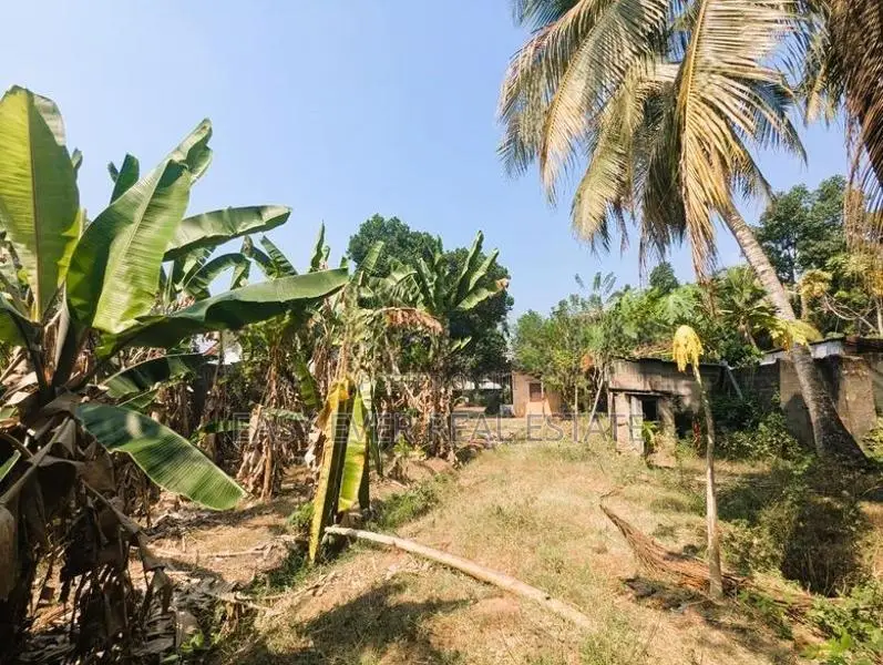 ඒකල – ගුවන් හමුදා කඳවුර අසලින් වටිනා බිම් කොටසක් විකිණීමට / ST 11655