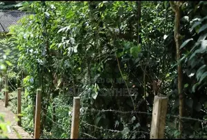 House with 25 Perch Land for Sale in Galaha