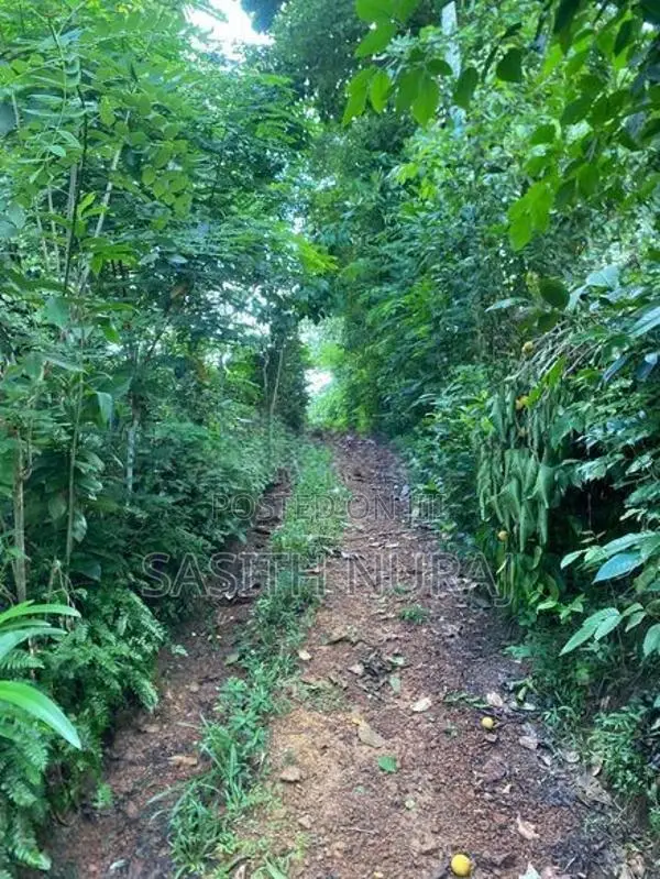 Land for Sale in Galle
