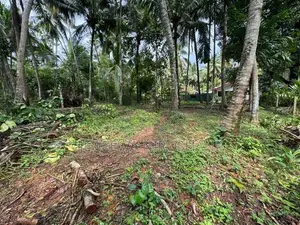 Land for sale Kadawatha - Ganemulla