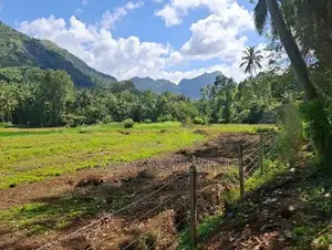 Valuable 3.75 Acres Agriculture Land for Sale in Matale.