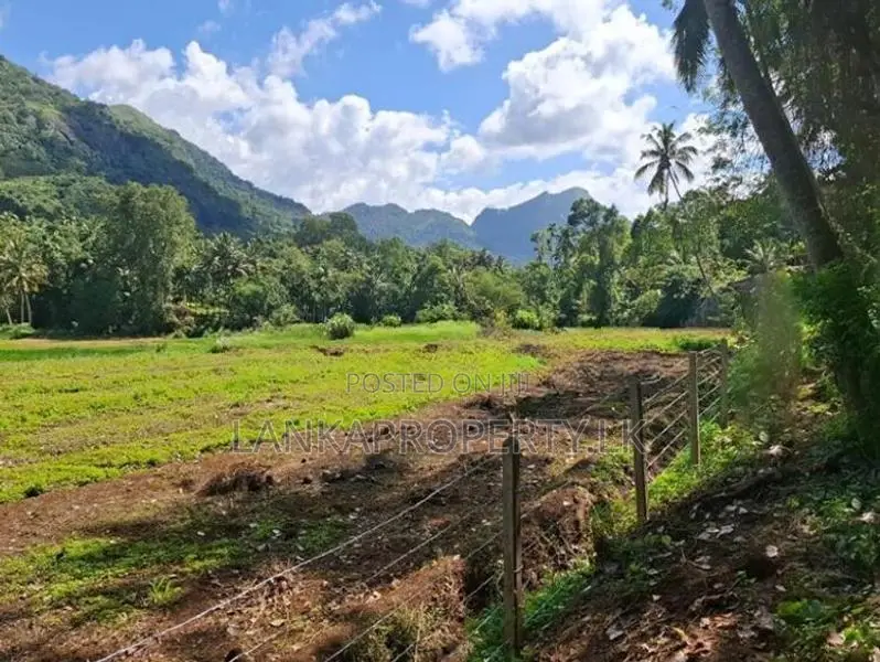 Valuable 3.75 Acres Agriculture Land for Sale in Matale.