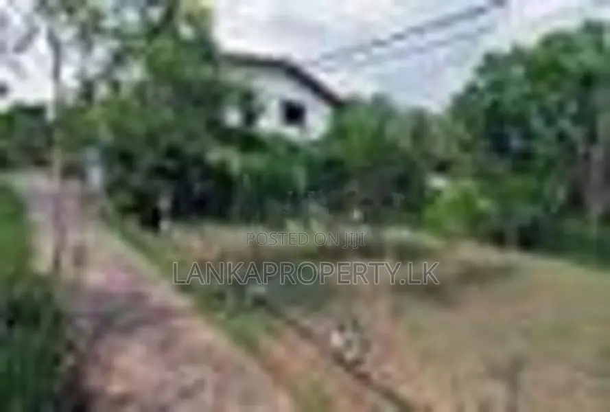 Prime Residential Land for Sale in Ramanayake Mawatha, Hokandara.