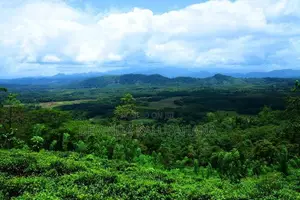 Land for Sale in Eheliyagoda, Ratnapura