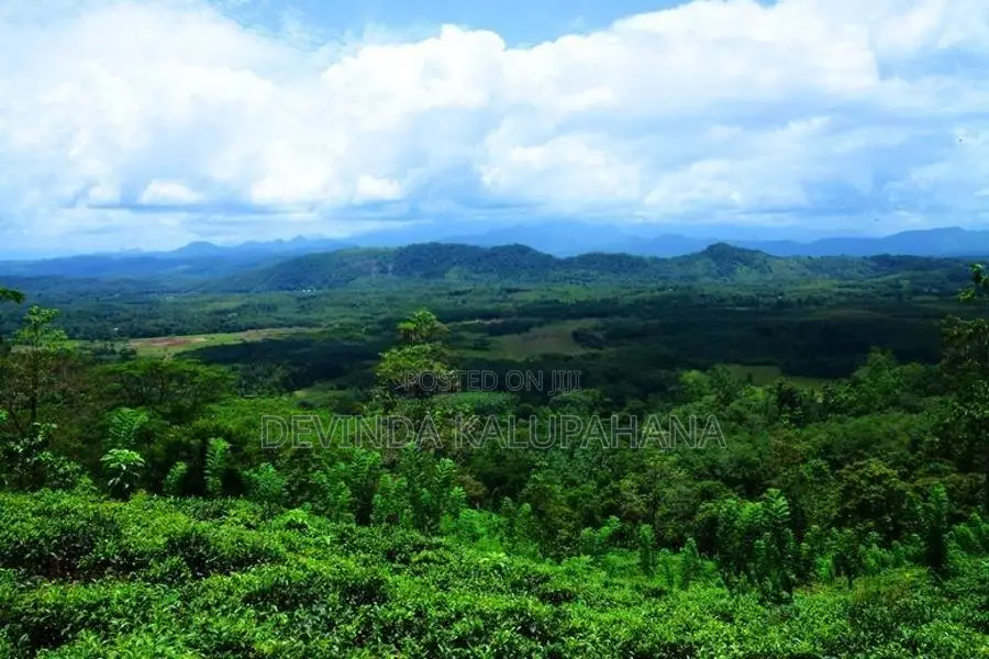 Land for Sale in Eheliyagoda, Ratnapura