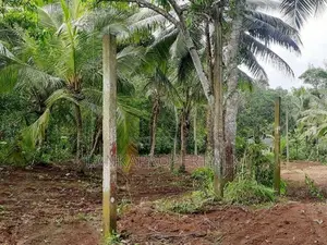 78 Perches of Valuable Land for Sale in Halpe, Mirigama.