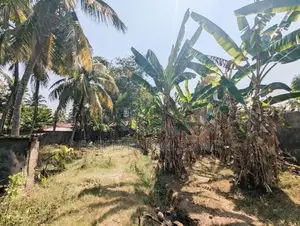 ඒකල – ගුවන් හමුදා කඳවුර අසලින් වටිනා බිම් කොටසක් විකිණීමට / ST 11655