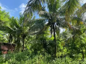 Land for Sale in Galle
