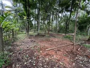 Land for sale Kadawatha - Ganemulla