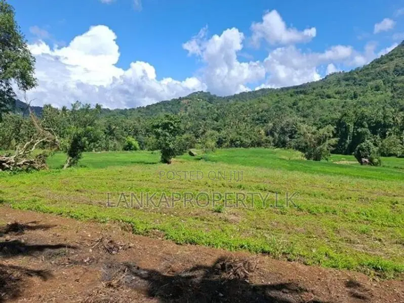 Valuable 3.75 Acres Agriculture Land for Sale in Matale.