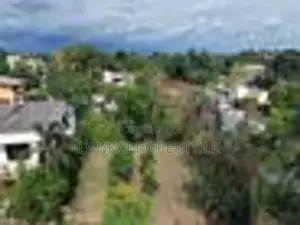 Prime Residential Land for Sale in Ramanayake Mawatha, Hokandara.