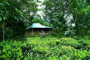 Land for Sale in Eheliyagoda, Ratnapura