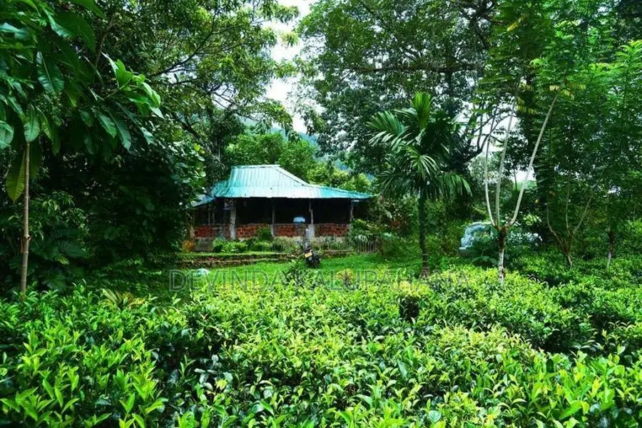 Land for Sale in Eheliyagoda, Ratnapura