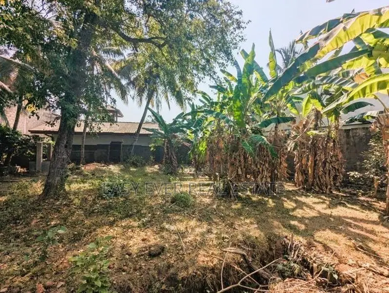 ඒකල – ගුවන් හමුදා කඳවුර අසලින් වටිනා බිම් කොටසක් විකිණීමට / ST 11655