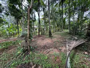 Land for sale Kadawatha - Ganemulla
