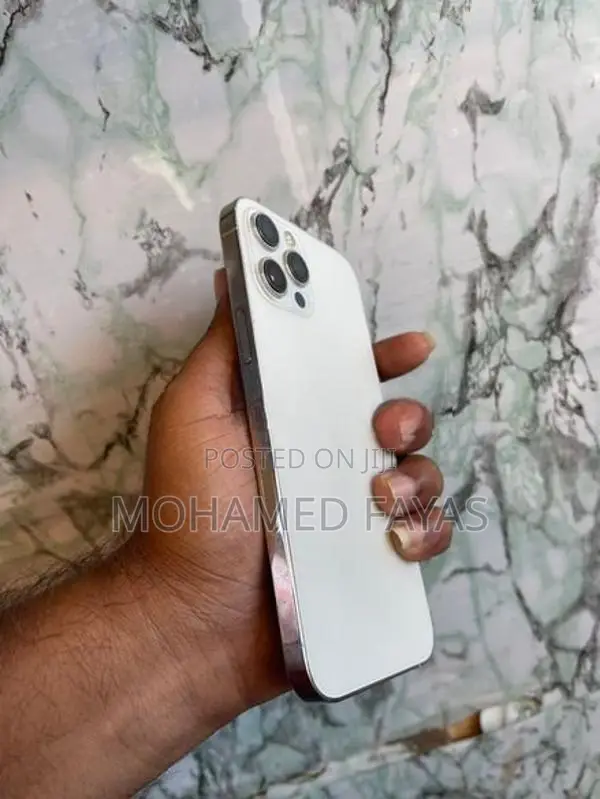 Apple iPhone 12 Pro Max 256GB (Used)