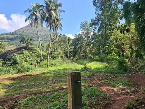 Valuable 3.75 Acres Agriculture Land for Sale in Matale.