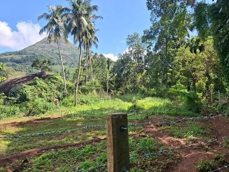 Valuable 3.75 Acres Agriculture Land for Sale in Matale.