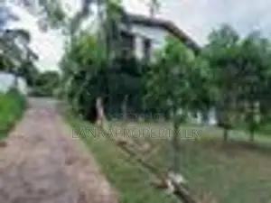 Prime Residential Land for Sale in Ramanayake Mawatha, Hokandara.