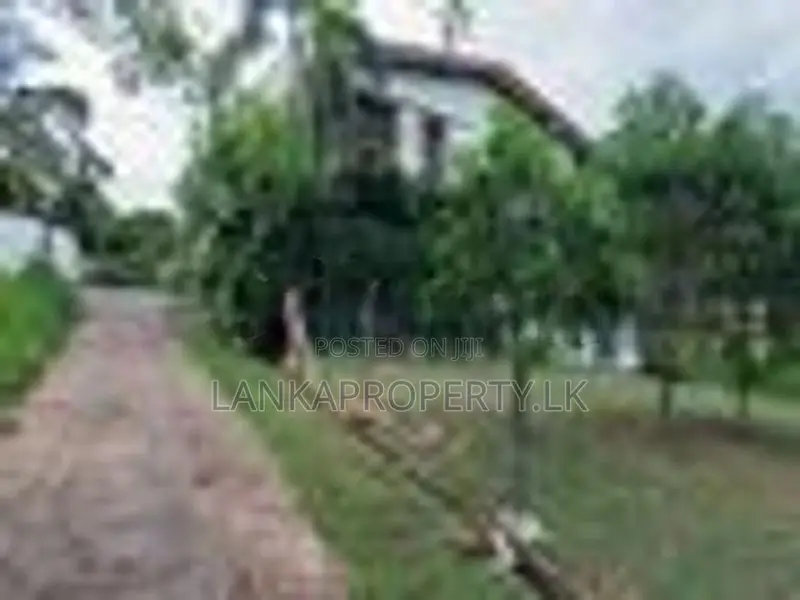 Prime Residential Land for Sale in Ramanayake Mawatha, Hokandara.