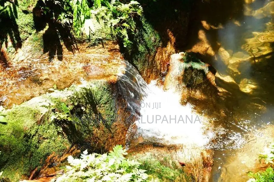 Land for Sale in Eheliyagoda, Ratnapura