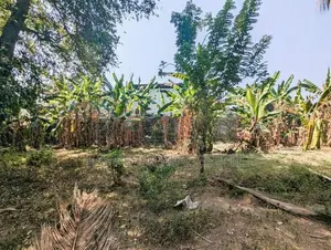 ඒකල – ගුවන් හමුදා කඳවුර අසලින් වටිනා බිම් කොටසක් විකිණීමට / ST 11655