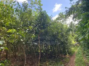 Land for Sale in Galle