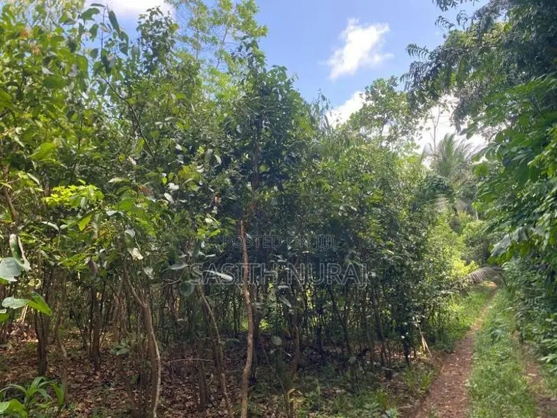Land for Sale in Galle