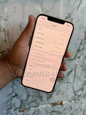 Apple iPhone 12 Pro Max 256GB (Used)