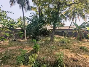ඒකල – ගුවන් හමුදා කඳවුර අසලින් වටිනා බිම් කොටසක් විකිණීමට / ST 11655