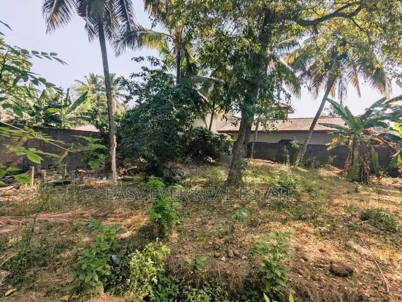 ඒකල – ගුවන් හමුදා කඳවුර අසලින් වටිනා බිම් කොටසක් විකිණීමට / ST 11655