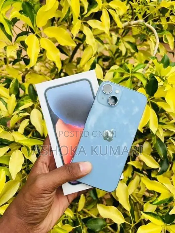 Apple iPhone 14 (Used)