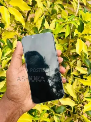 Apple iPhone 14 (Used)