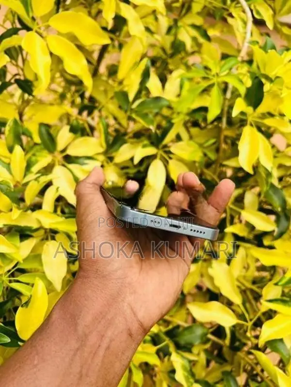 Apple iPhone 14 (Used)