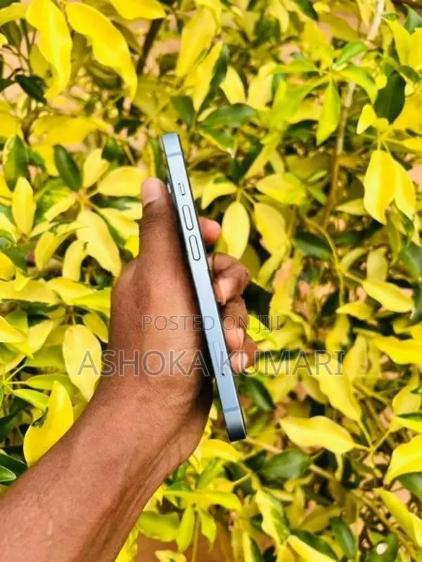 Apple iPhone 14 (Used)