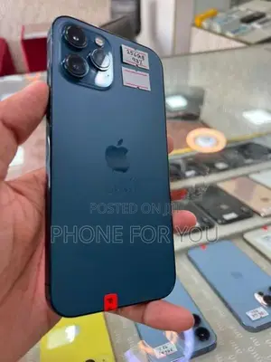 Apple iPhone 12 Pro Max (Used)
