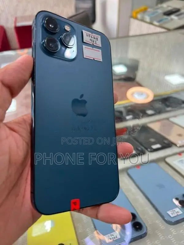 Apple iPhone 12 Pro Max (Used)