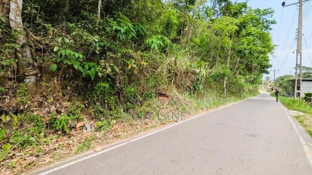 තිත්තවැල්මංකඩ, කොළඹ – නුවර මාර්ගයට ආසන්න වටිනා ඉඩමක් විකිණීමට/ SA 1146