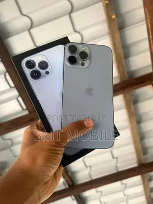 Apple iPhone 13 Pro Max (Used)