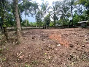 Land for sale in Weliweriya