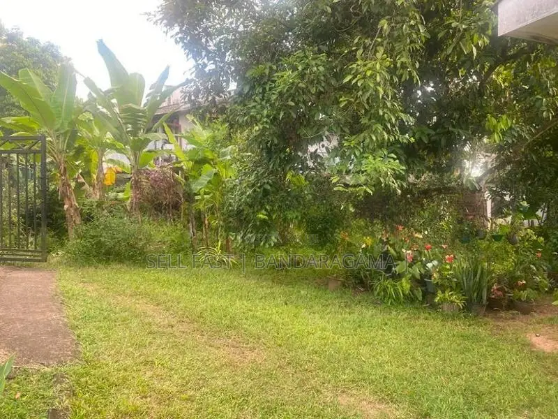 Land for sale