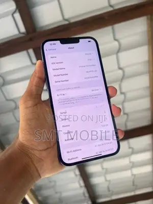 Apple iPhone 13 Pro Max (Used)