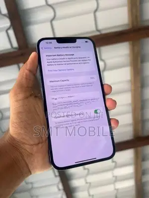 Apple iPhone 13 Pro Max (Used)