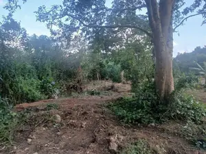 Commercial Property with Building & Land for Sale – Pugoda